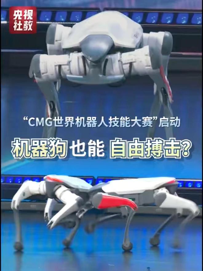 赛博“斗蛐蛐”：机器狗搏击比赛机器人踢足球