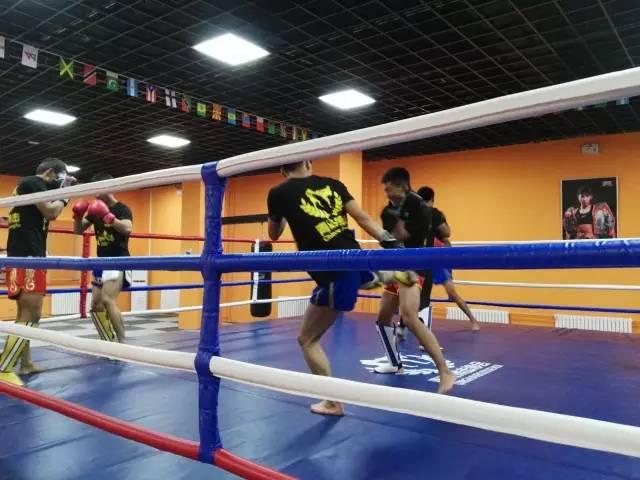 为什么有搏击比赛