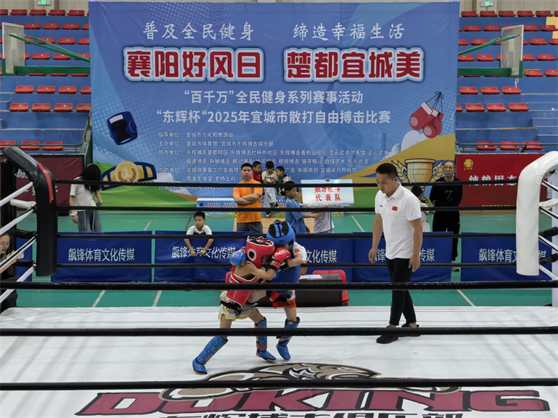 “东辉杯”2025年宜城市散打自由搏击比赛圆满落幕