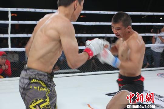 综合格斗亚锦赛中国3金1银4铜 斩获历史最佳战绩