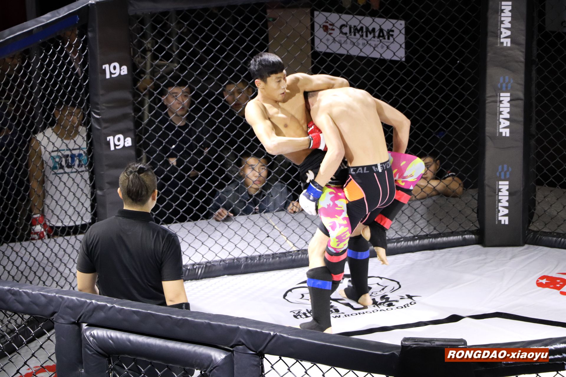 如果传统武术办类似UFC这种综合格斗赛事大量实战