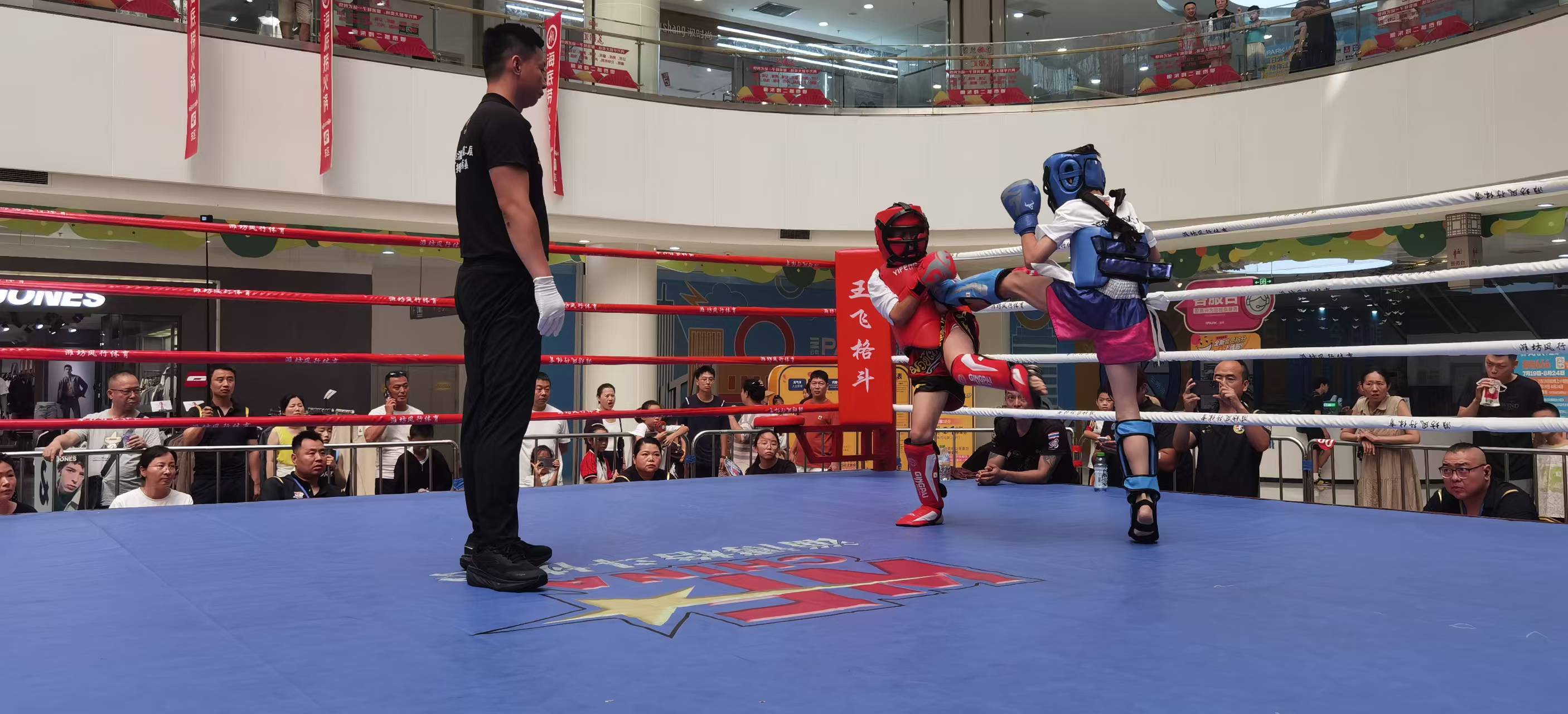 2025自由搏击锦标赛(图2)