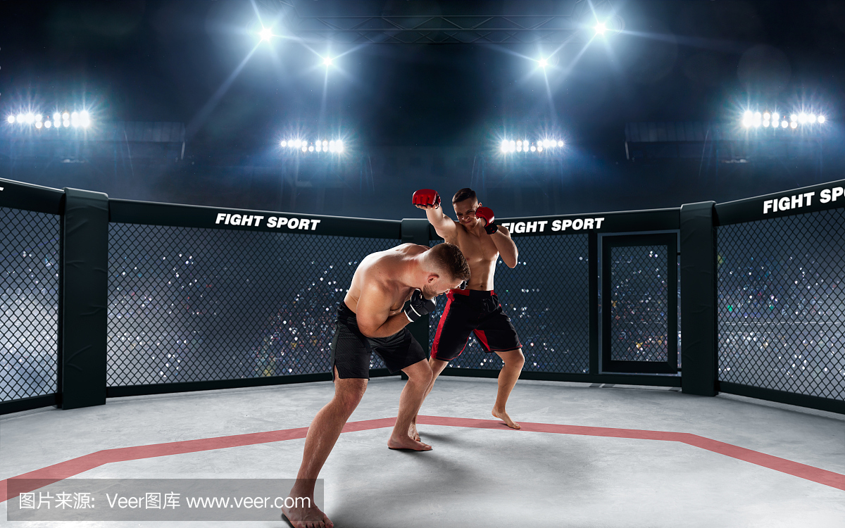 多元化产品布局以品类创新助推市场扩容