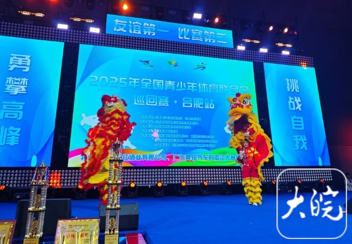 2025年全国青少年体育联合会巡回赛在合肥举办(图3)