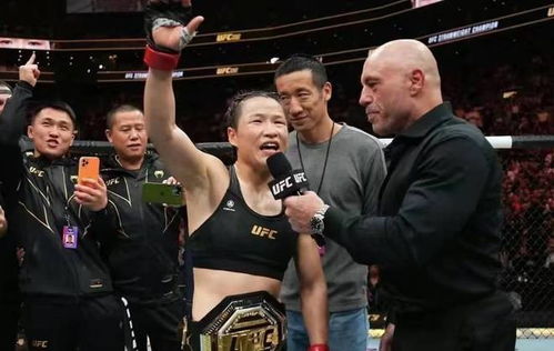 什么格斗项目最赚钱