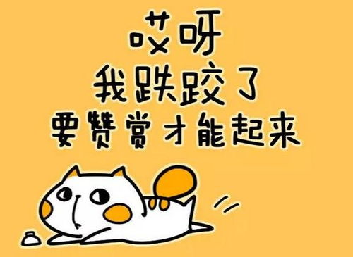 格斗什么项目最赚钱