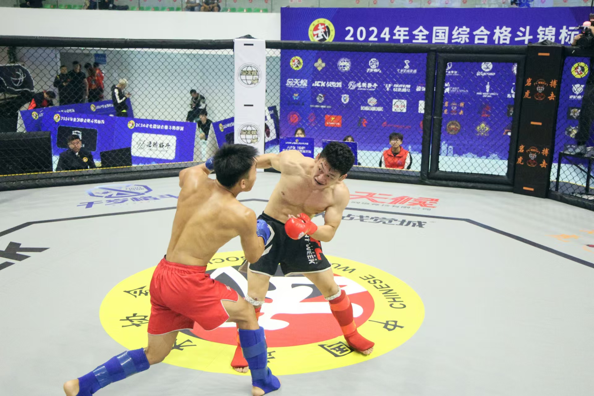 巅峰对决!2025全国综合格斗锦标赛将在兵团第十二师开赛!(图2)