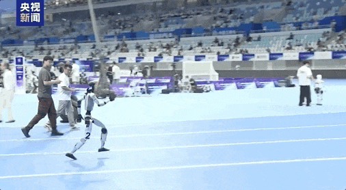 五百余名“健将”集结这场运动会为何这么燃？