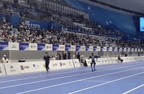 五百余名“健将”集结这场运动会为何这么燃？(图2)