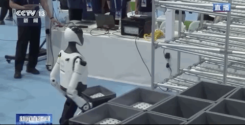 五百余名“健将”集结这场运动会为何这么燃？(图8)