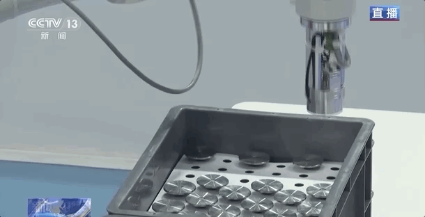 五百余名“健将”集结这场运动会为何这么燃？(图7)