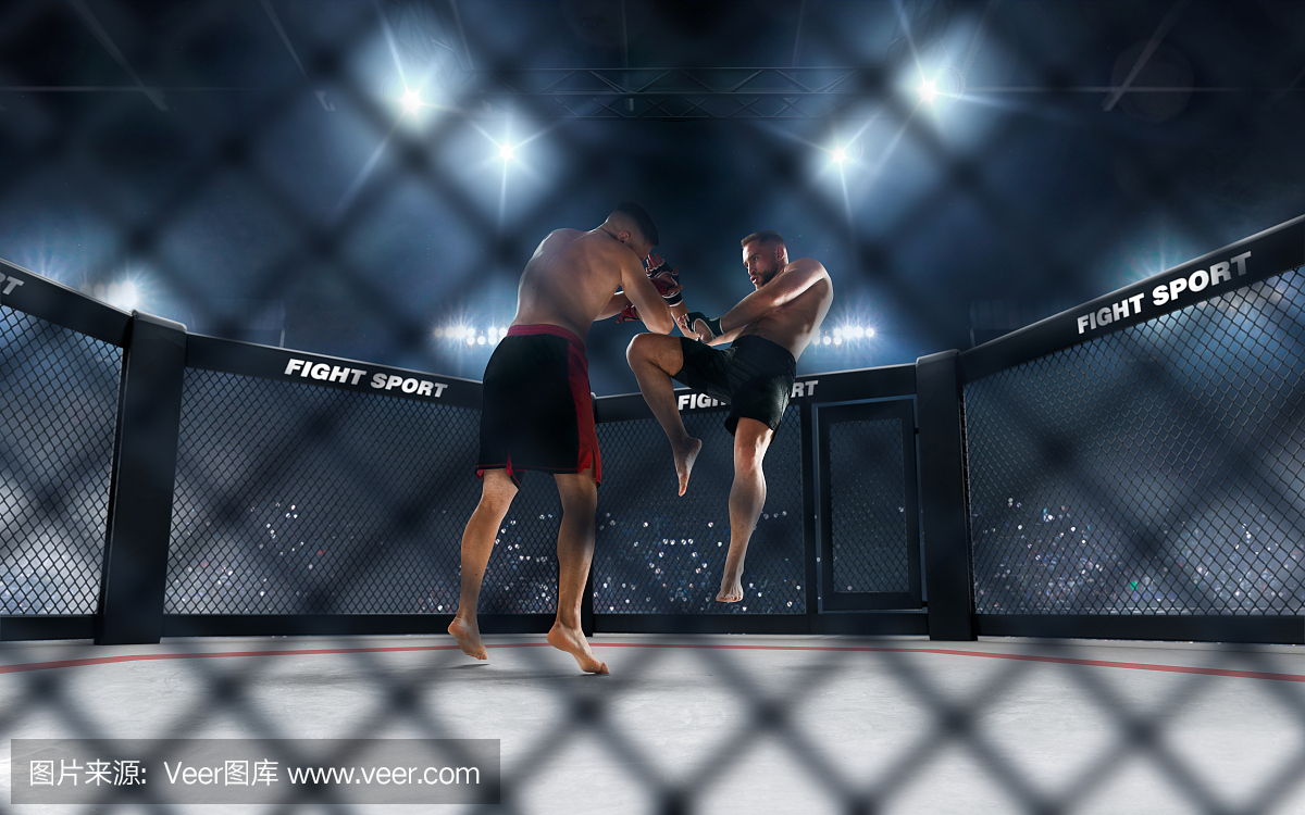 UFC-UFC无限制综合格斗