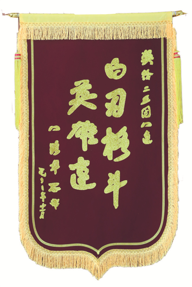 特刊丨战旗猎猎使命生辉