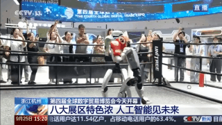 能“摄像”的眼镜、机甲格斗机器人数贸会亮点十足(图3)