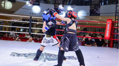 少年当武!铜都“少年功夫王”武术联赛暨“武林风”全国精英赛10月热血开赛(图2)