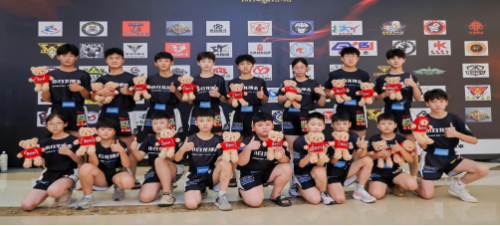 少年当武!铜都“少年功夫王”武术联赛暨“武林风”全国精英赛10月热血开赛(图3)