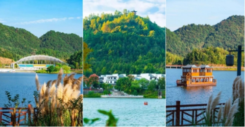 少年当武!铜都“少年功夫王”武术联赛暨“武林风”全国精英赛10月热血开赛(图4)