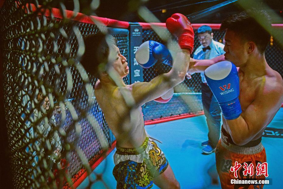 新永久伊甸院3V81