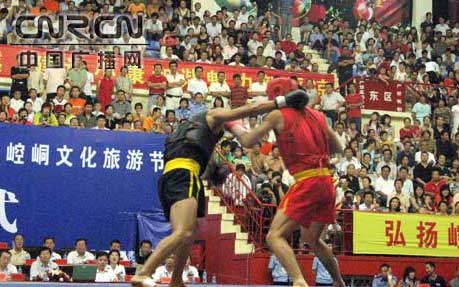 全国武术散打精英赛11日晚落幕