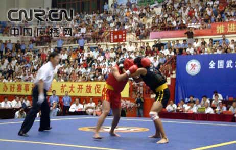 全国武术散打精英赛11日晚落幕(图2)