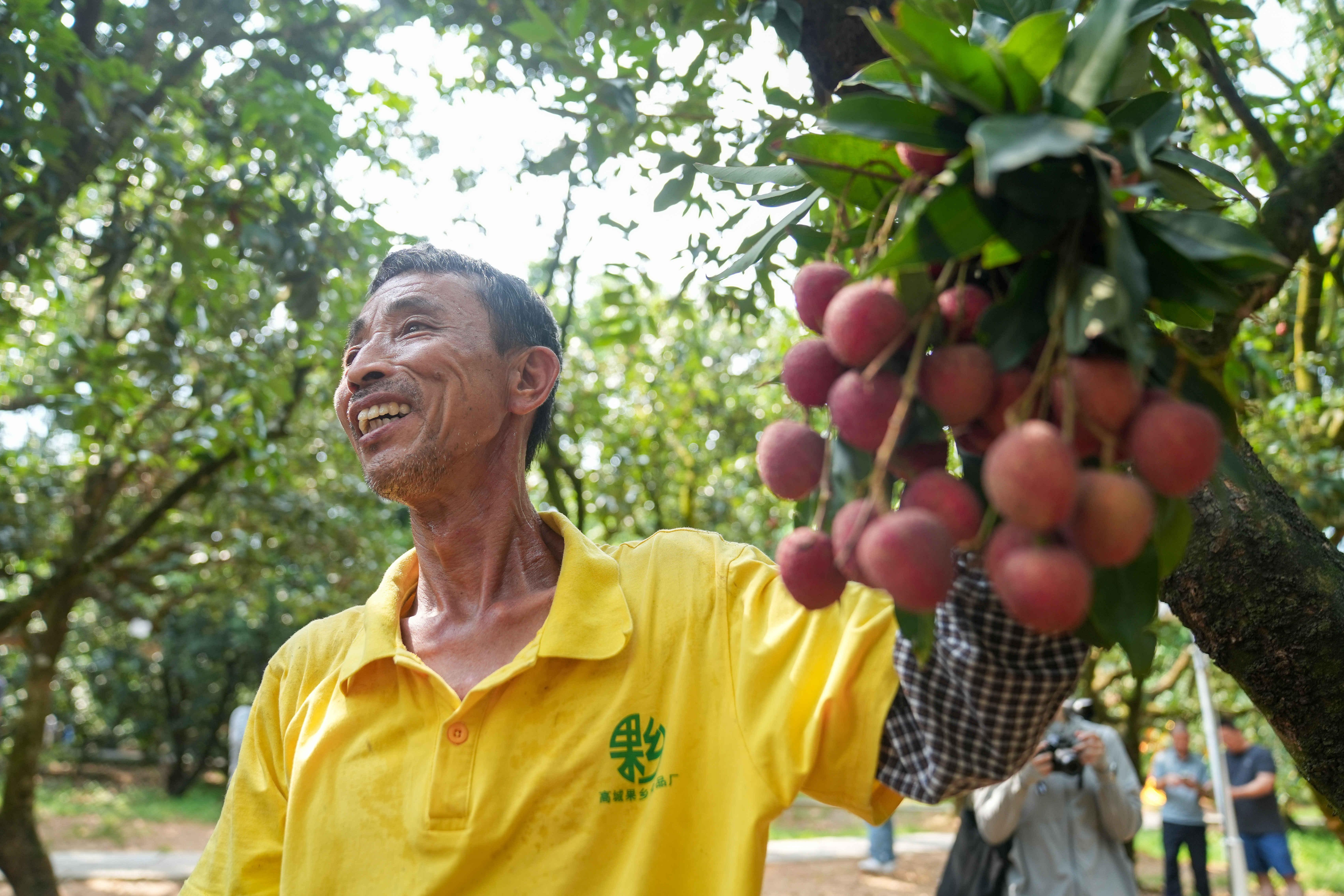 揭秘广东五城“体育性格”：跳水、骑行、排球…何以成为出圈名片？(图11)