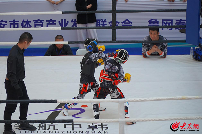 “好运山东”2025年“决战泰山之巅”跆拳道搏击公开赛圆满落幕(图3)