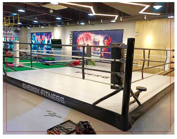 托普里亚称转战拳击为期不远坦言综合格斗生涯不会太长