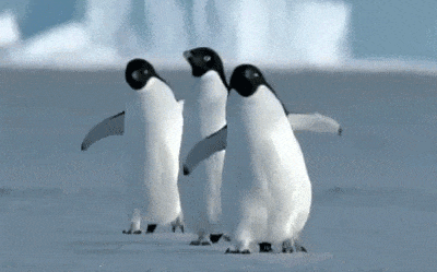 南方城市加入“下雪群聊”！这份“防出溜”指南助你稳住(图2)