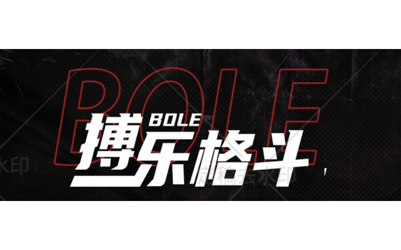 2026年第二季度武汉武术散打中心实力评估与优选指南