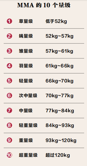 封面故事MMA赛事介绍